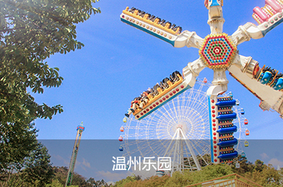 溫州網站建設與數(shù)字服務全指南 從網頁設計到APP開發(fā)